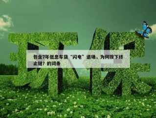 包含7年低息车贷“闪电”退场，为何按下终止键？的词条