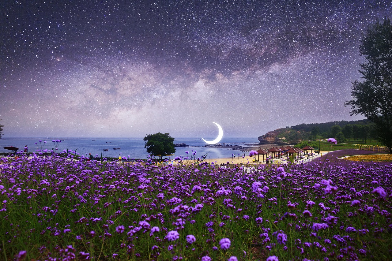 星空MV、梦幻MV、天美MV、糖心MV与蓝莓17c，一场视觉与听觉的奇妙碰撞