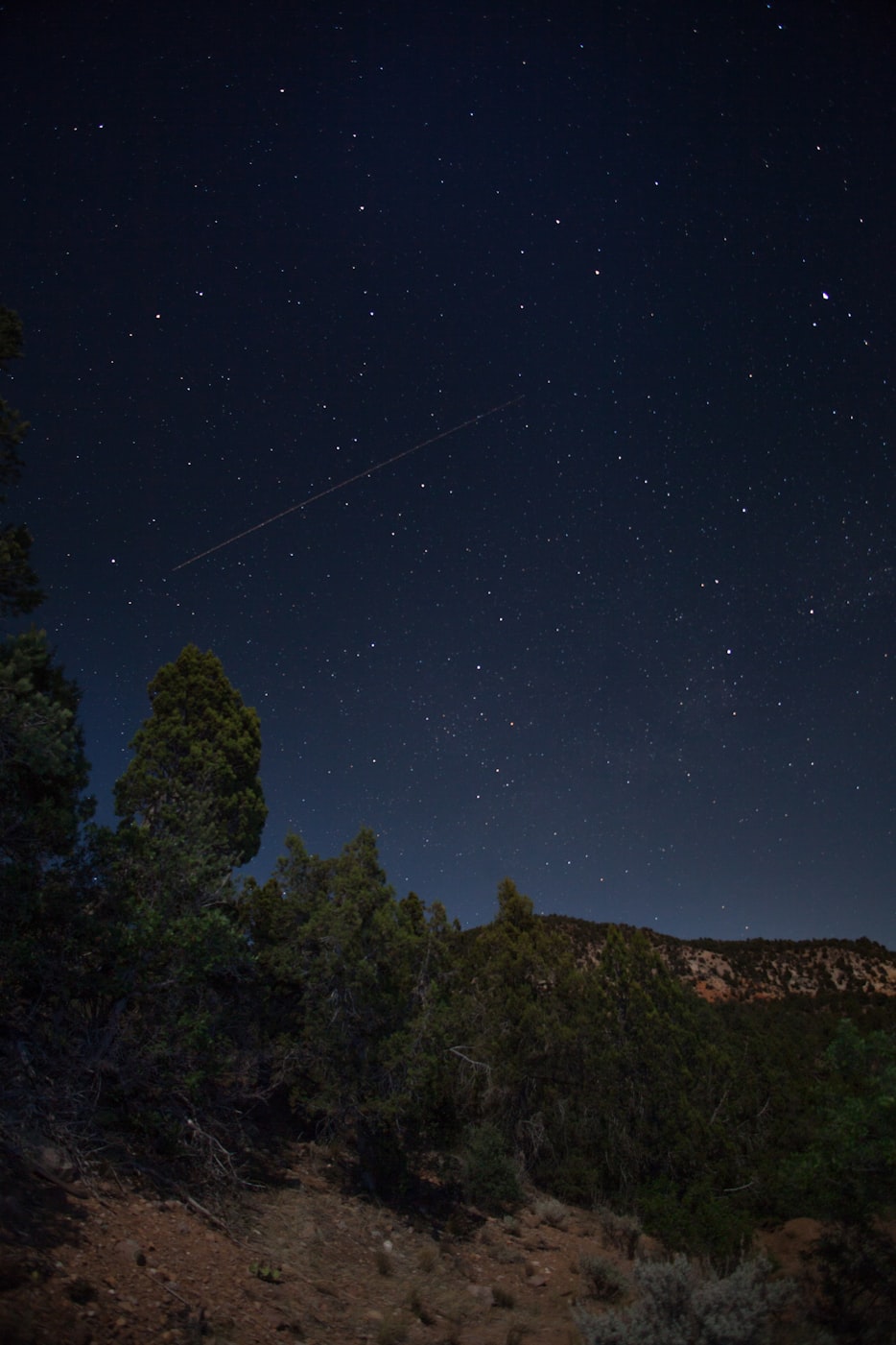 吞噬星空，在星辰影院免费追完全集的那些事儿