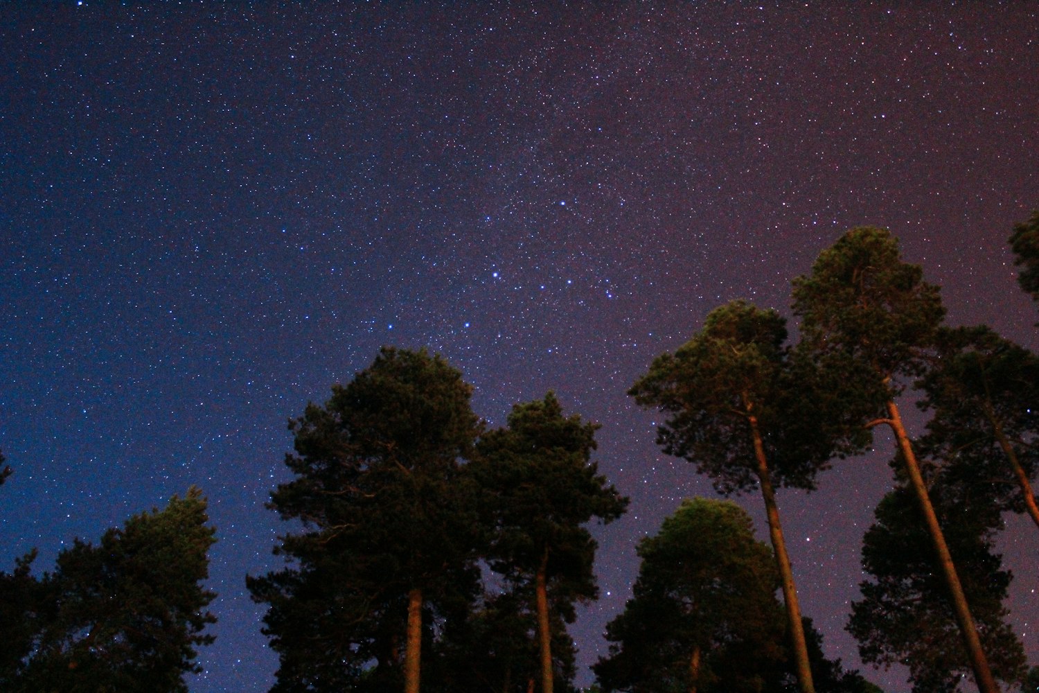 追吞噬星空动画别踩坑！用星星影院免费看全集，高清不掉帧